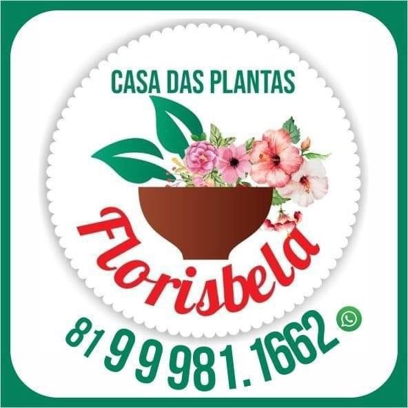 Casa das Plantas - Florisbela
